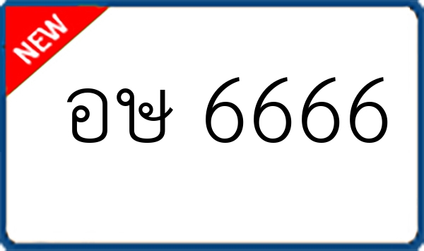 อษ 6666